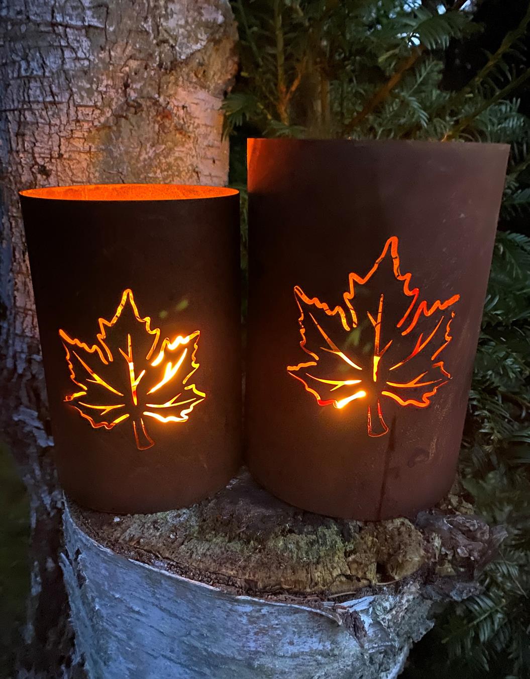 lönn på marken liten